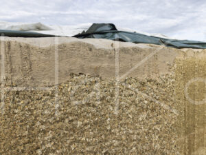 Overige veeteelt (L1A1024)