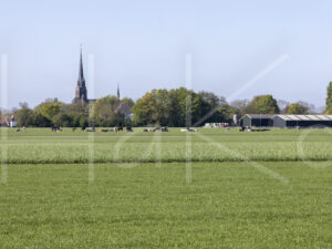 Landbouwlandschap (Y3A1218)