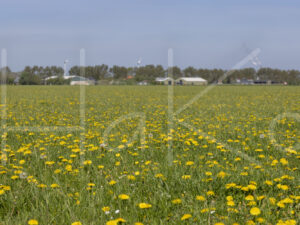 Landbouwlandschap (Y3A1315)
