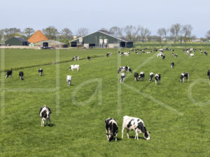 Landbouwlandschap (Y3A1342)