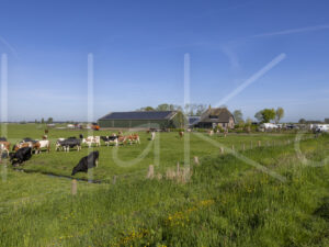 Landbouwlandschap (Y3A1385)