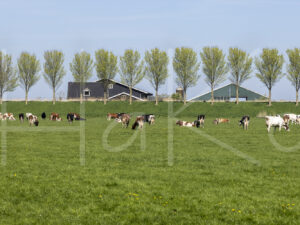 Landbouwlandschap (Y3A1511)