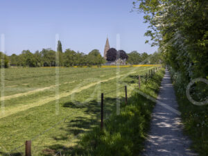 Overige veeteelt (Y3A3903)