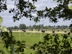 Overige veeteelt (Y3A4667)