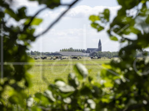 Landbouwlandschap (Y3A4672)