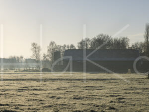 Overige veeteelt (Y3A5562)