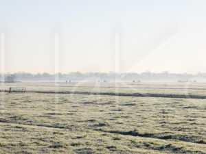 Overige veeteelt (Y3A5569)