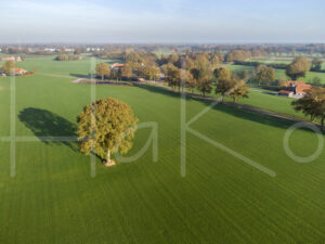 Landbouwlandschap (DJI_0113)