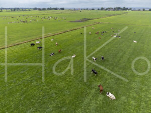 Landbouwlandschap (DJI_0135)