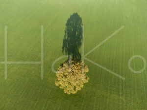 Landbouwlandschap (DJI_0137)