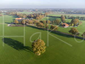 Landbouwlandschap (DJI_0148)