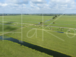 Landbouwlandschap (DJI_0696)