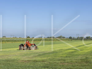 Overige veeteelt (0Y3A7475)