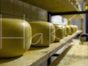 Geitenkaas (16B1168)