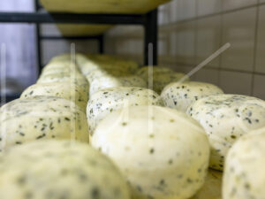 Geitenkaas (16B1176)