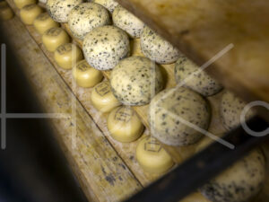 Geitenkaas (16B1201)