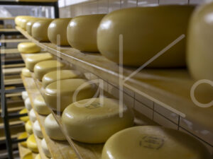 Geitenkaas (16B1206)