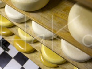 Geitenkaas (16B1210)