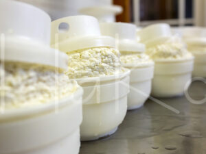 Geitenkaas (16B1214)