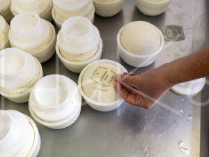 Geitenkaas (16B1231)