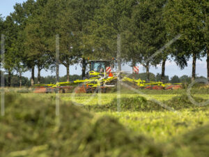 Overige veeteelt (16B4984)