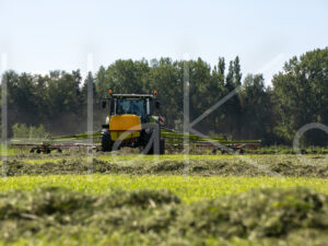 Overige veeteelt (16B5002)