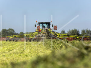 Overige veeteelt (16B5019)