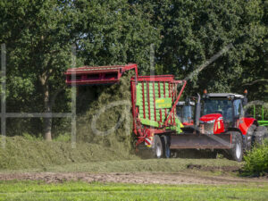 Overige veeteelt (16B5293)