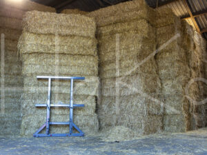 Overige veeteelt (16B5428)