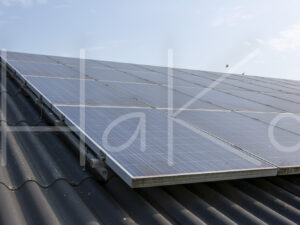 Overige veeteelt (16B8455)