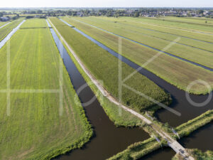 Maïsteelt (DJI_0558)