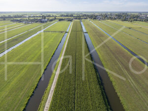 Maïsteelt (DJI_0578)