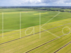 Landbouwlandschap (DJI_0621)