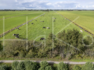 Landbouwlandschap (DJI_0632)