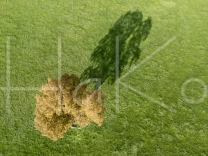 Landbouwlandschap (DJI_0737)