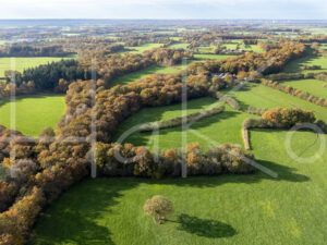 Landbouwlandschap (DJI_0749)