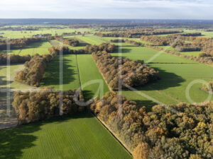 Landbouwlandschap (DJI_0761)