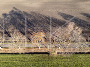 Landbouwlandschap (DJI_0820)