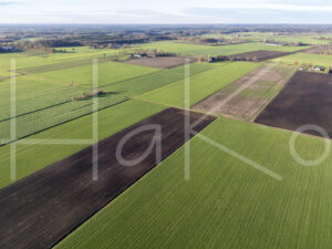 Landbouwlandschap (DJI_0828)