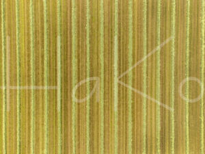 Landbouwlandschap (DJI_0883)