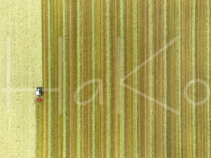 Landbouwlandschap (DJI_0888)