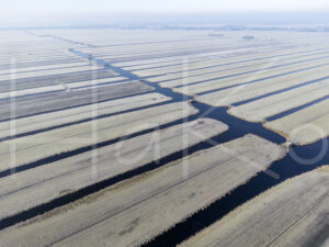 Landbouwlandschap (DJI_0916)