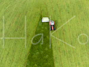 Overige veeteelt (DJI_0995)