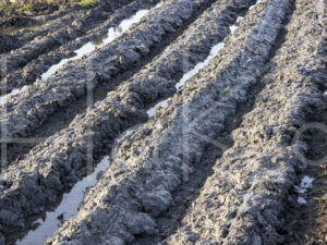 Overige akkerbouw (0Y3A2016)