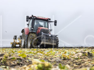 Overige akkerbouw (0Y3A2207)