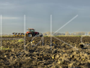 Overige akkerbouw (0Y3A3598)