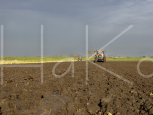 Tarweteelt (0Y3A3617)