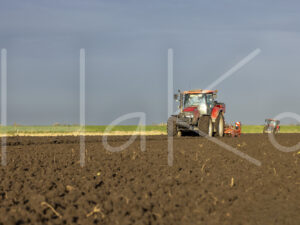 Tarweteelt (0Y3A3620)