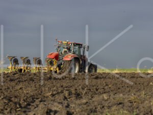 Overige akkerbouw (0Y3A3660)