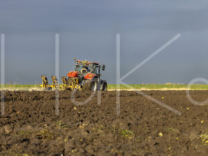 Overige akkerbouw (0Y3A3678)